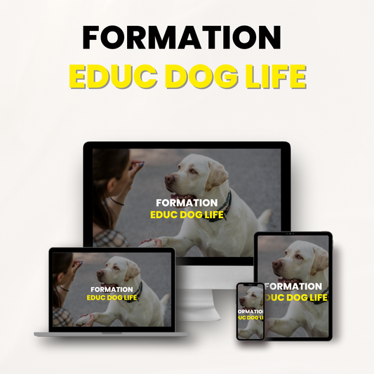 Formation Educ Dog Life Pack Complet