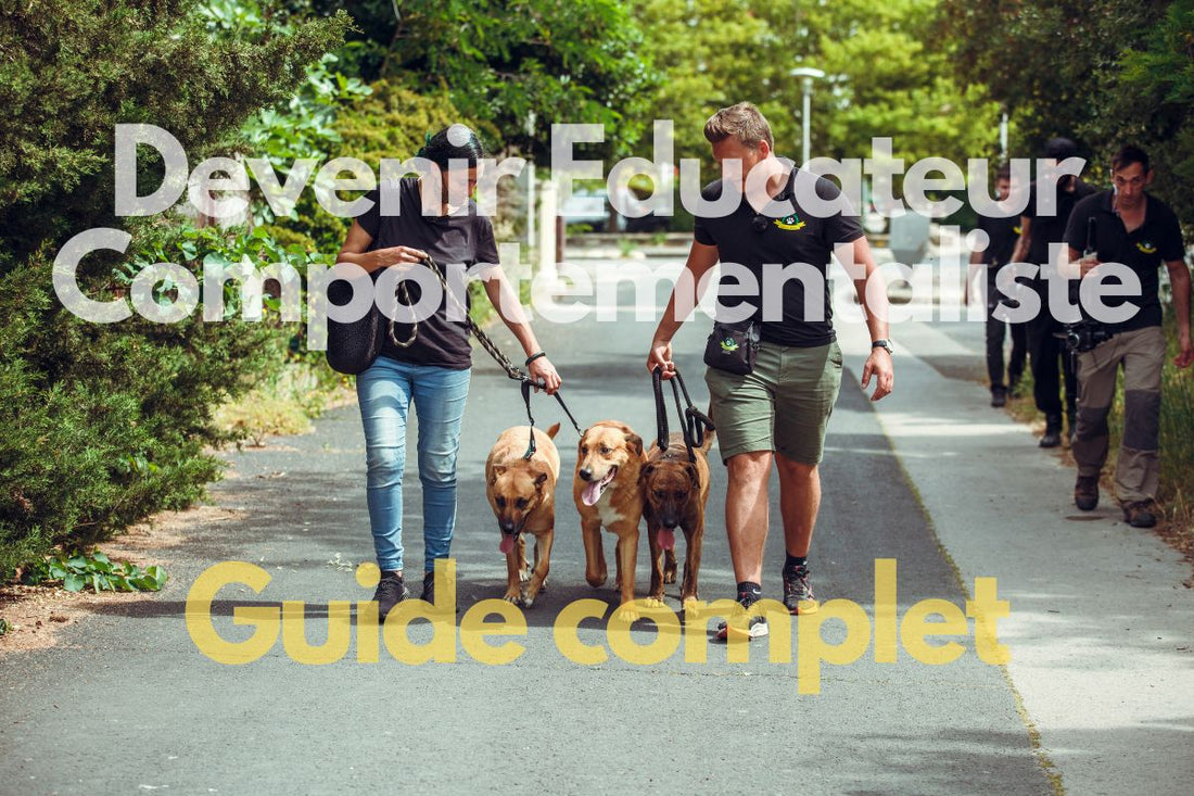 Devenir Éducateur Comportementaliste Canin : Un Métier d'Avenir