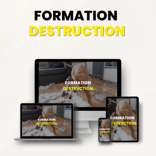 Formation Destruction