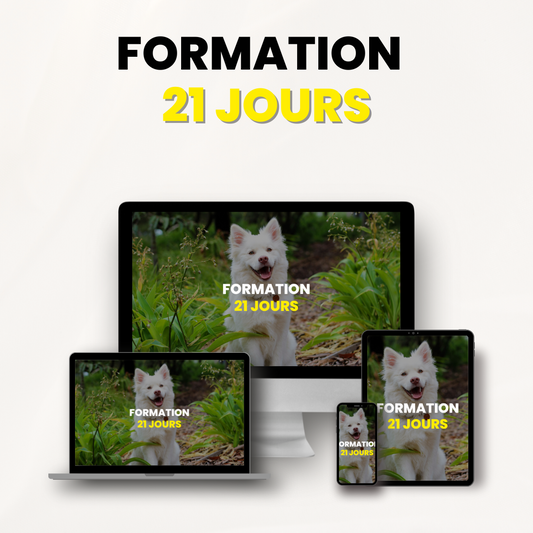 Formation 21 Jours Educ Dog