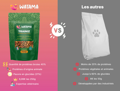 Friandises Pour Chien Premium - Les Trainiz Par Watama