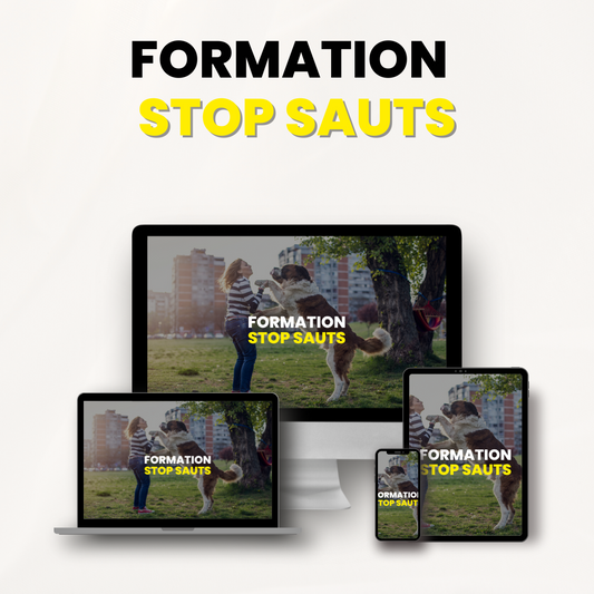 Formation Stop sauts