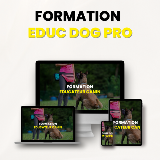 Formation EDUC DOG PRO