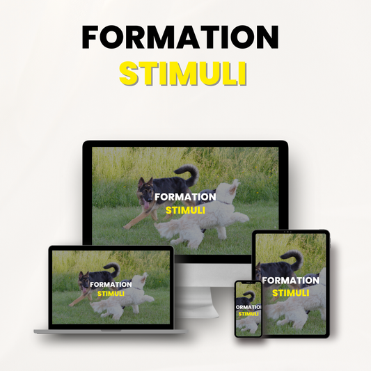 Formation Stimuli - EducDog