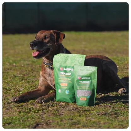 Friandises Pour Chien Premium - Les Trainiz Par Watama