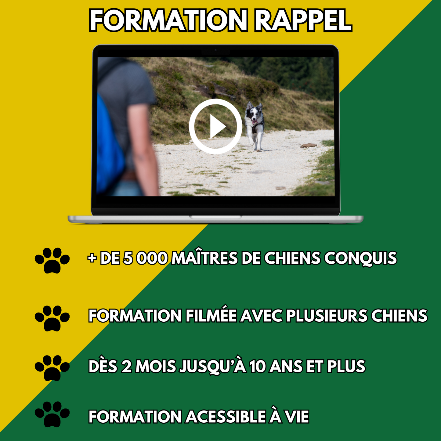 Formation Rappel Educ Dog